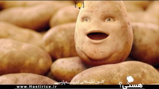 ساخت تیزر تبلیغاتی برنج هستی